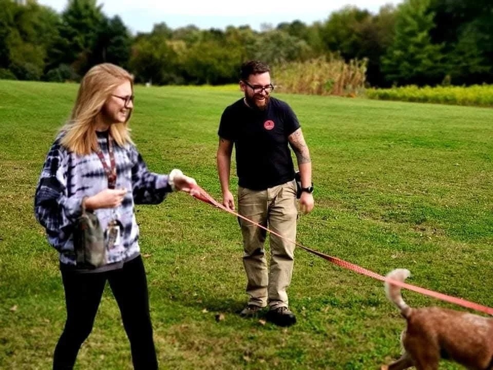 GoodBoy Dog Training