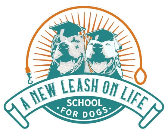 A New Leash on Life - School for Dogs — dog trainer in Detroit, MI
