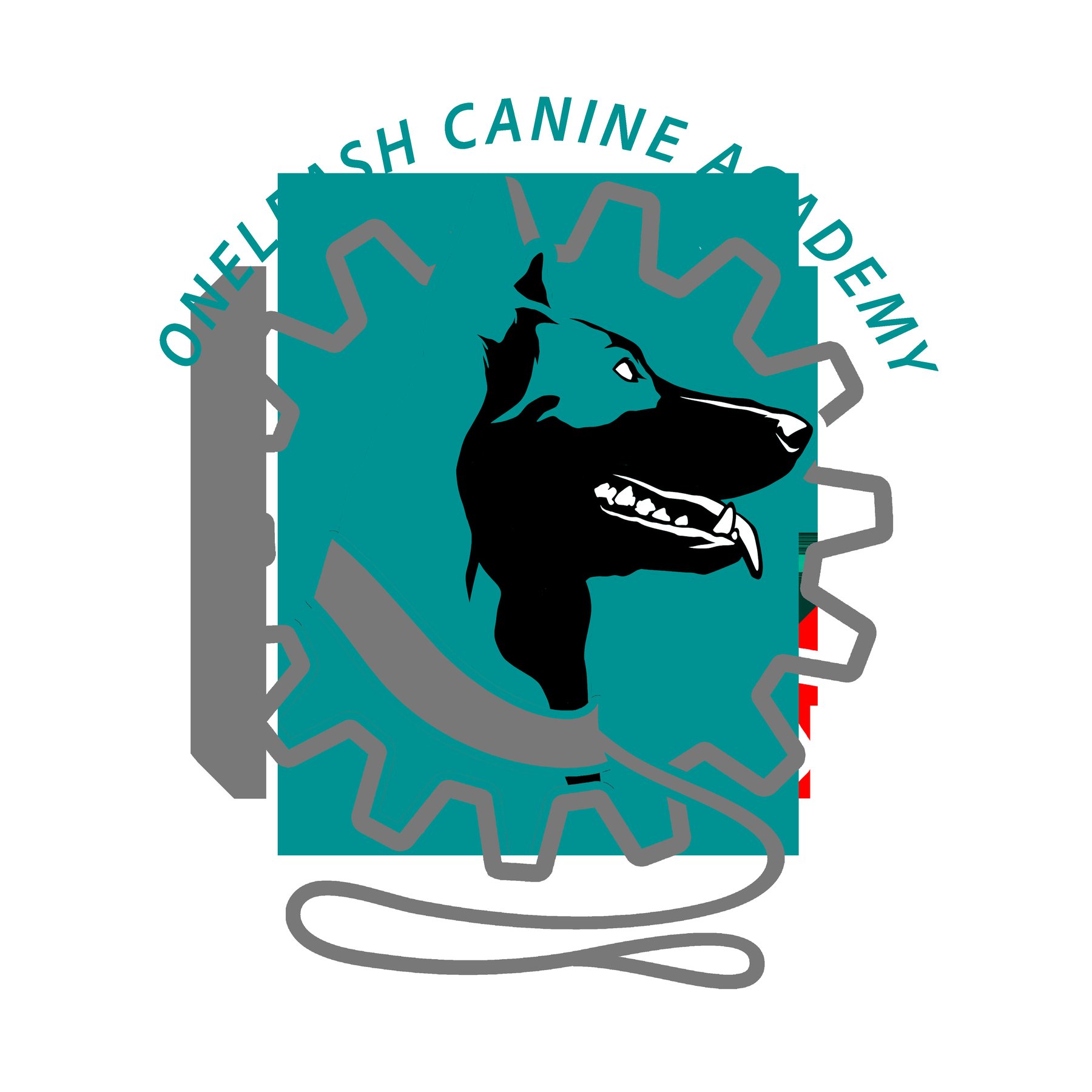 OneLeash Canine Academy