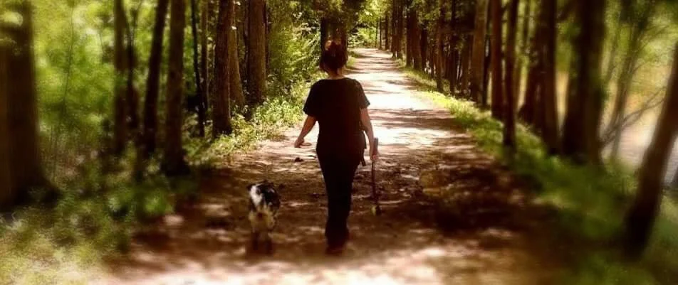 Magic With Dogs