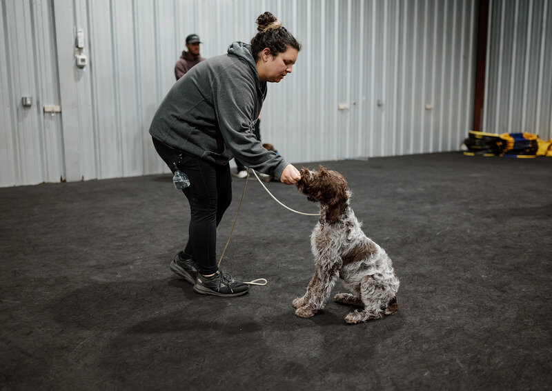 Golden Compass Canine Training