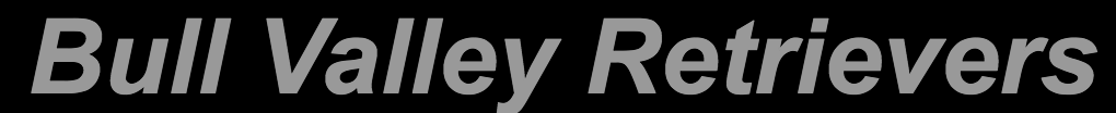 Bull Valley Retrievers logo