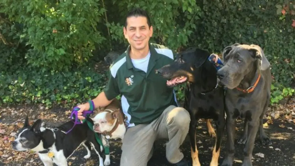 Bark Busters Home Dog Training Brooklyn & Staten Island