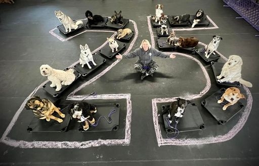 Canine Academy