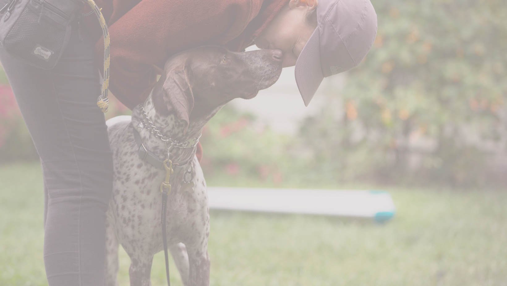 Cahoots Dog Training