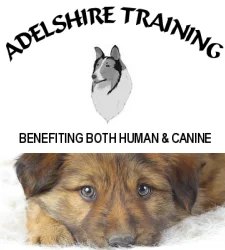 Adelshire Training logo