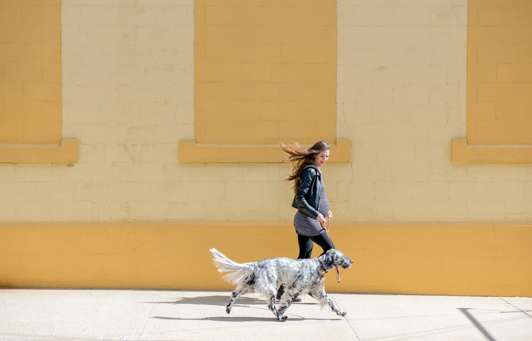 Dog Psychology and Training Center
