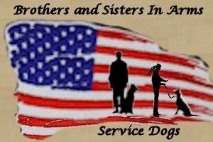 Brothers and Sisters in Arms Dog Training