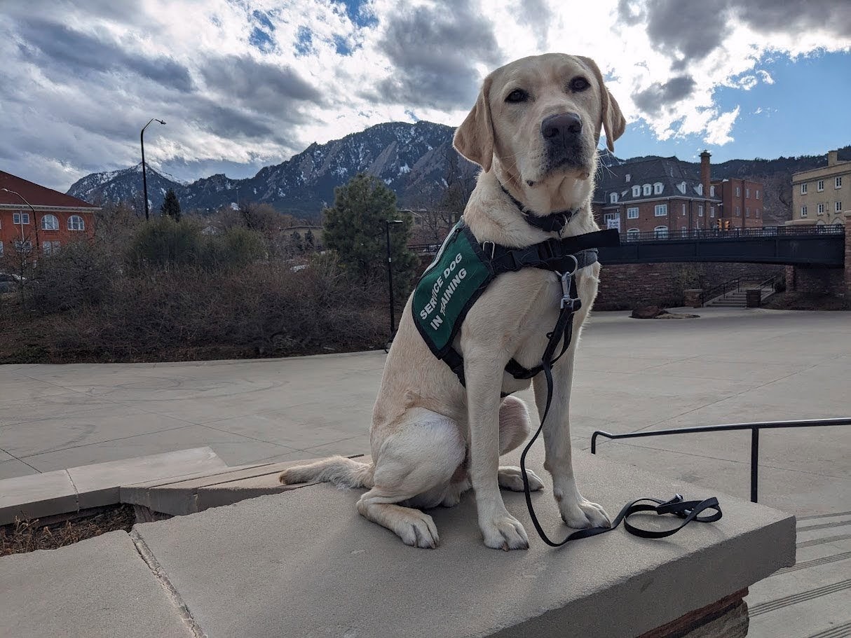 Canine Partners of the Rockies
