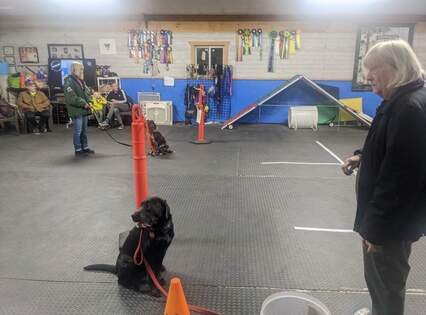 Attaboy Dog Training
