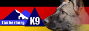 Zauberberg! German Shepherd Breeder and Dog Training in Tucson logo