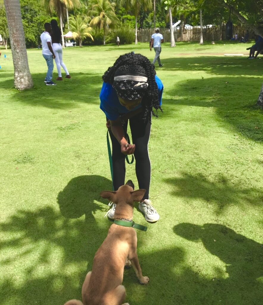 Transformational k9