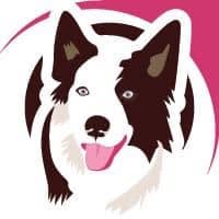 Always Hope Dog Training