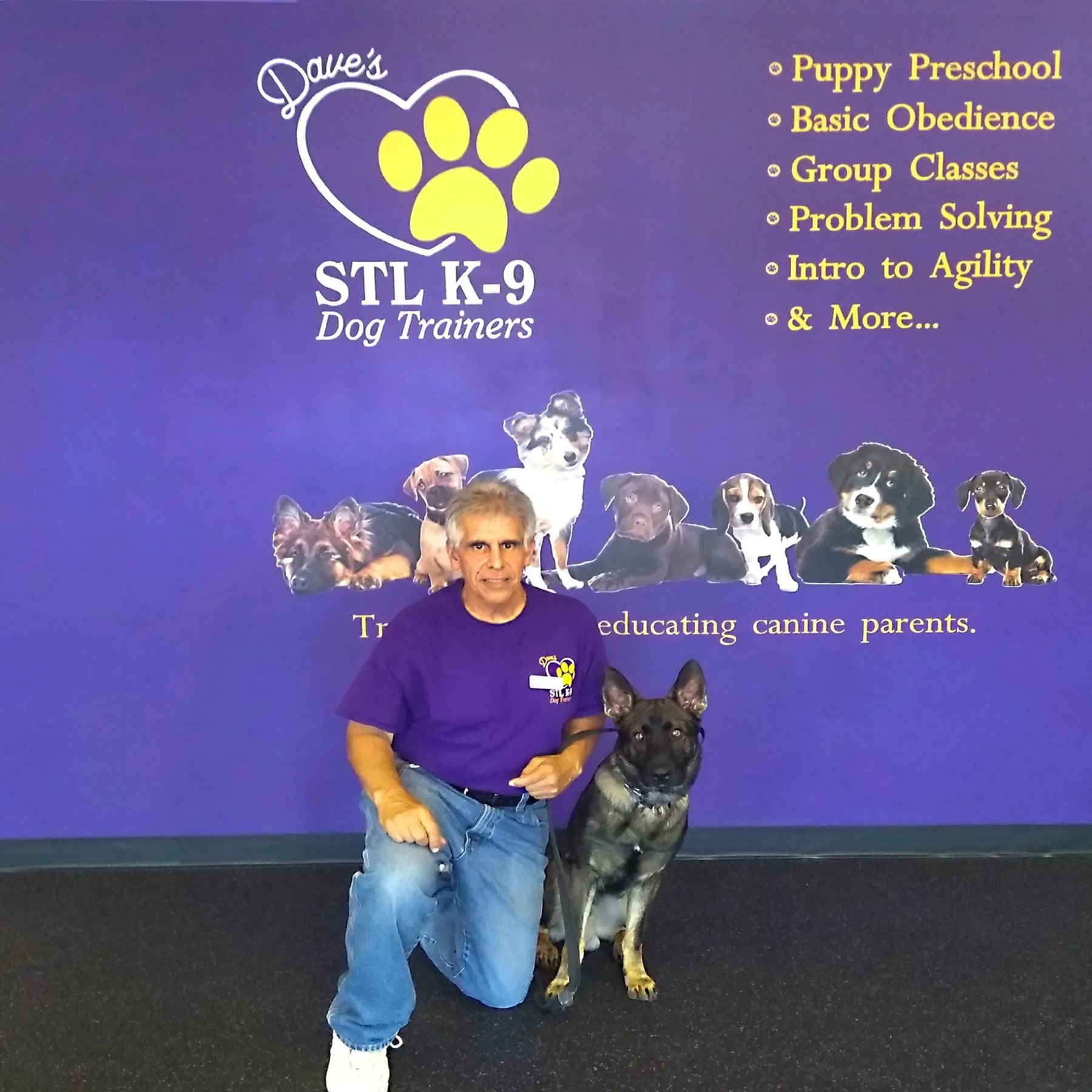 Dave’s STL K-9 Dog Trainers