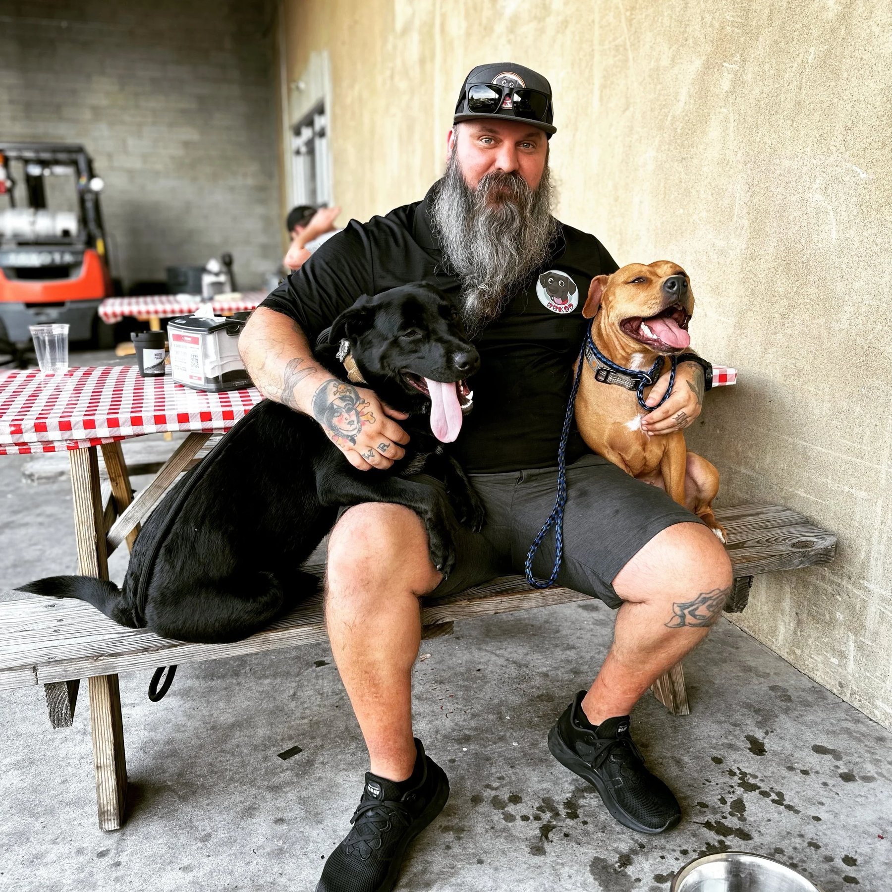 Beardy and the Beast K9 Development — dog trainer in Richmond, VA