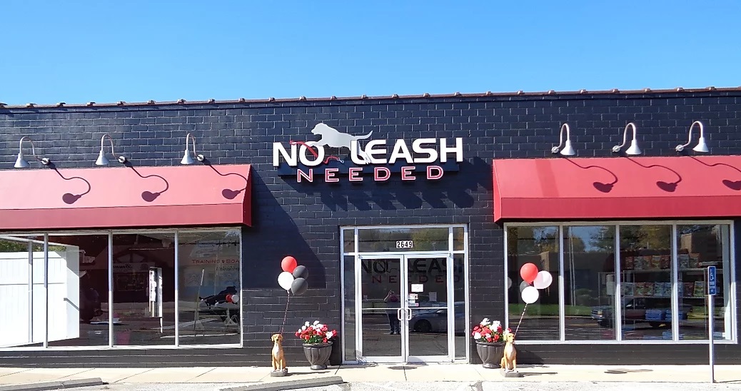 No Leash Needed