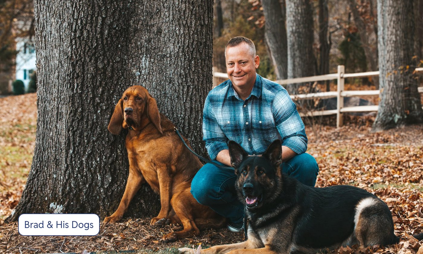 Kodiak K9 Training — dog trainer in Reston, VA