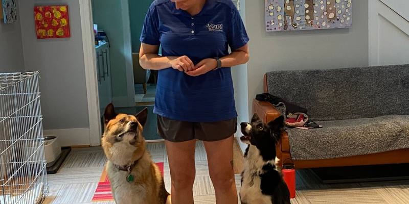 WOOFS! Dog Training Center