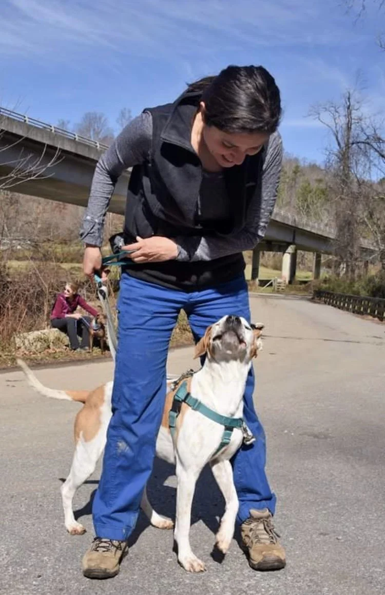 Brooklyn Pup Dog Training