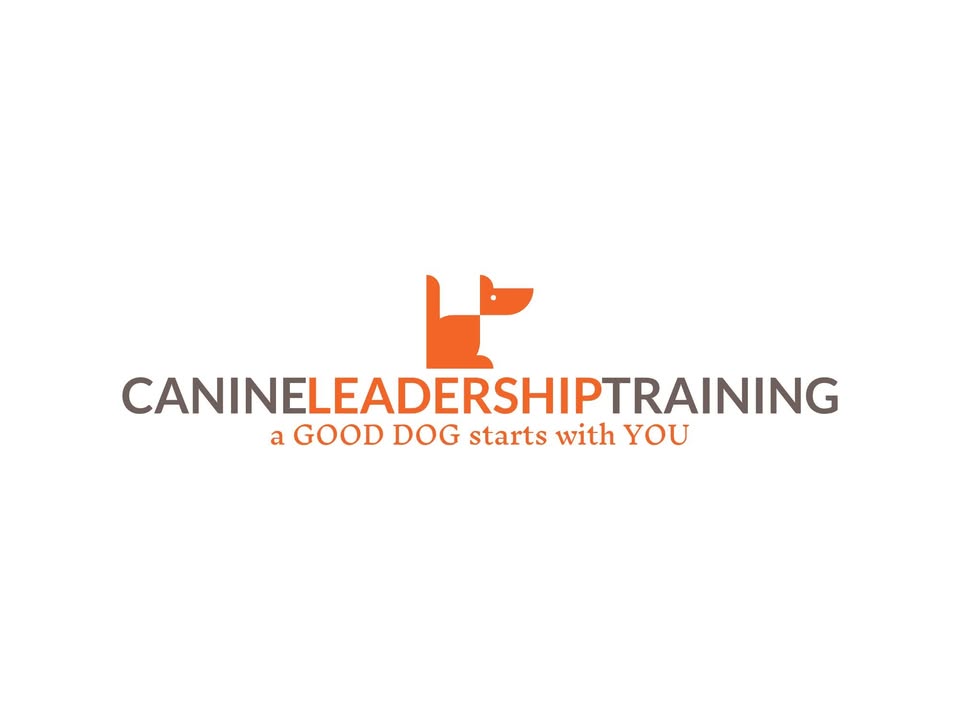 Canine Leadership Training