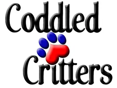 Coddled Critters logo
