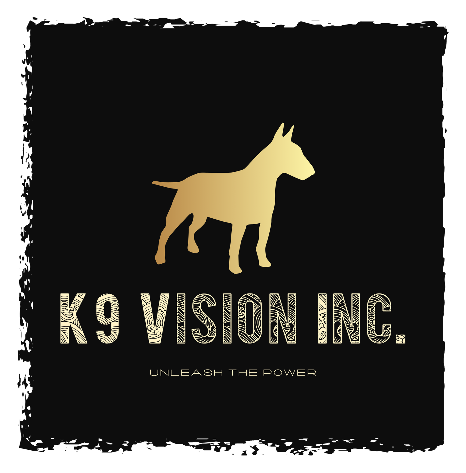 K9 Vision at the DLC logo
