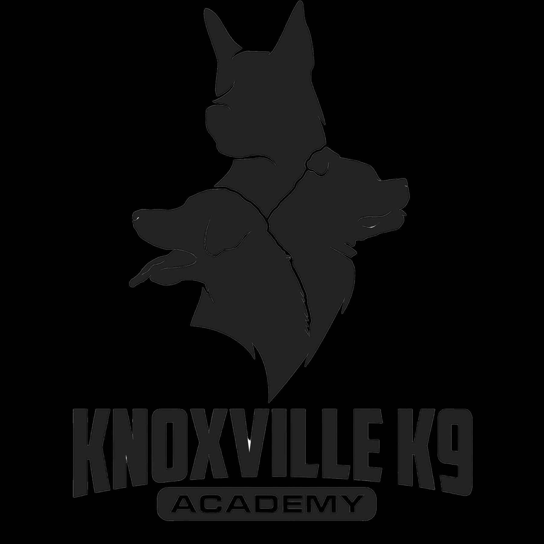 Knoxville K9 Academy