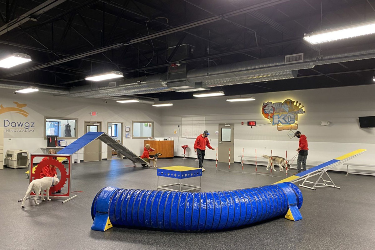 KC Dawgz Dog Training Academy