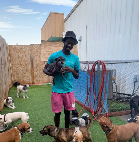 Hipster Hound on Diamond
