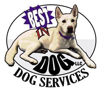 Best in Dog LLC logo