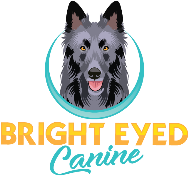 Bright Eyed Canine