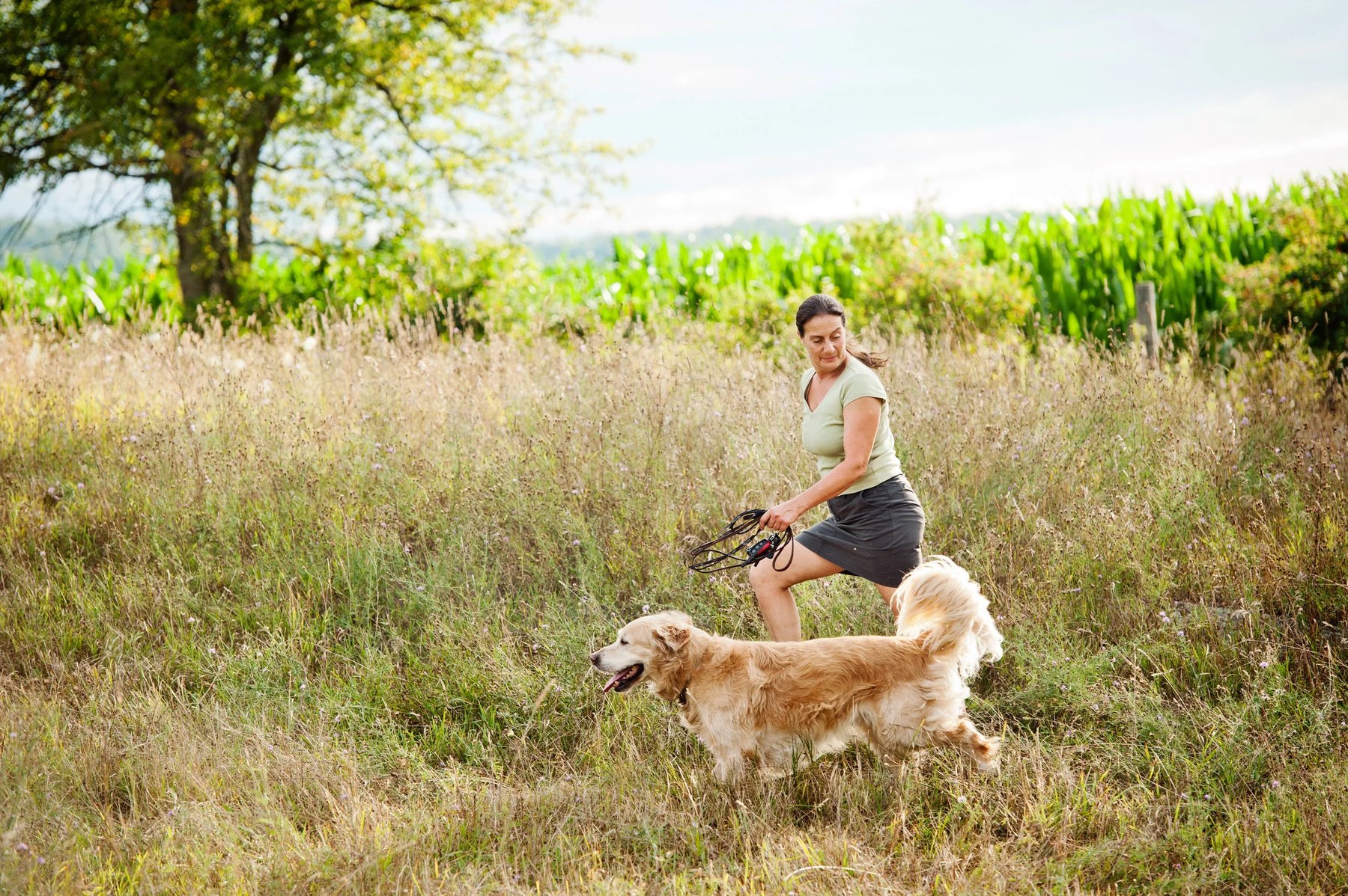 Goodladd Dog Training, Janine Lazarus — dog trainer in Beckley, WV