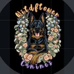 Wildflower Canines