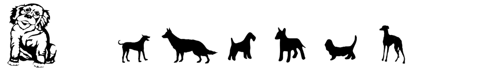 Dan Morris Dog Training