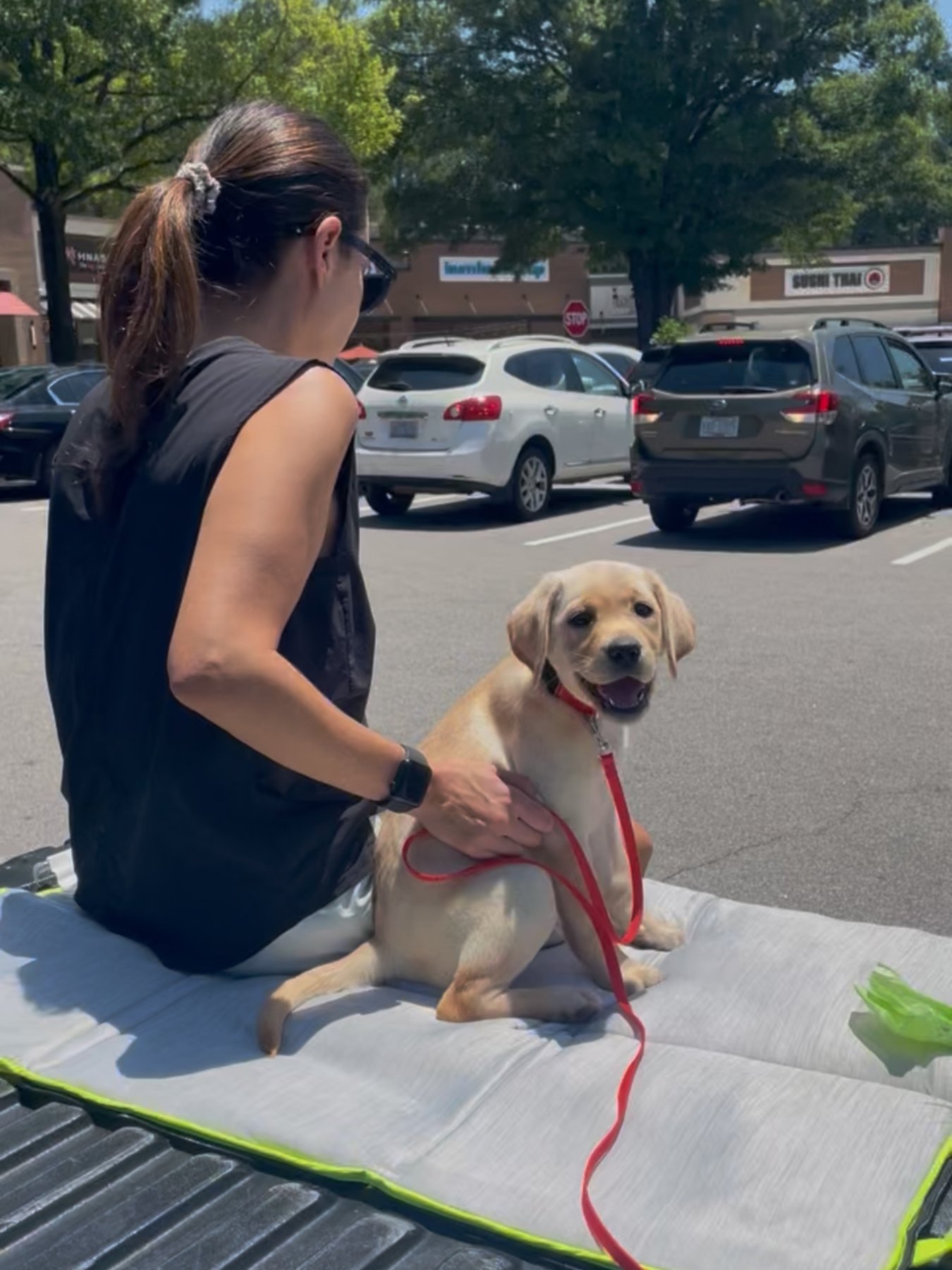 Sally Said So Professional Dog Training W-S