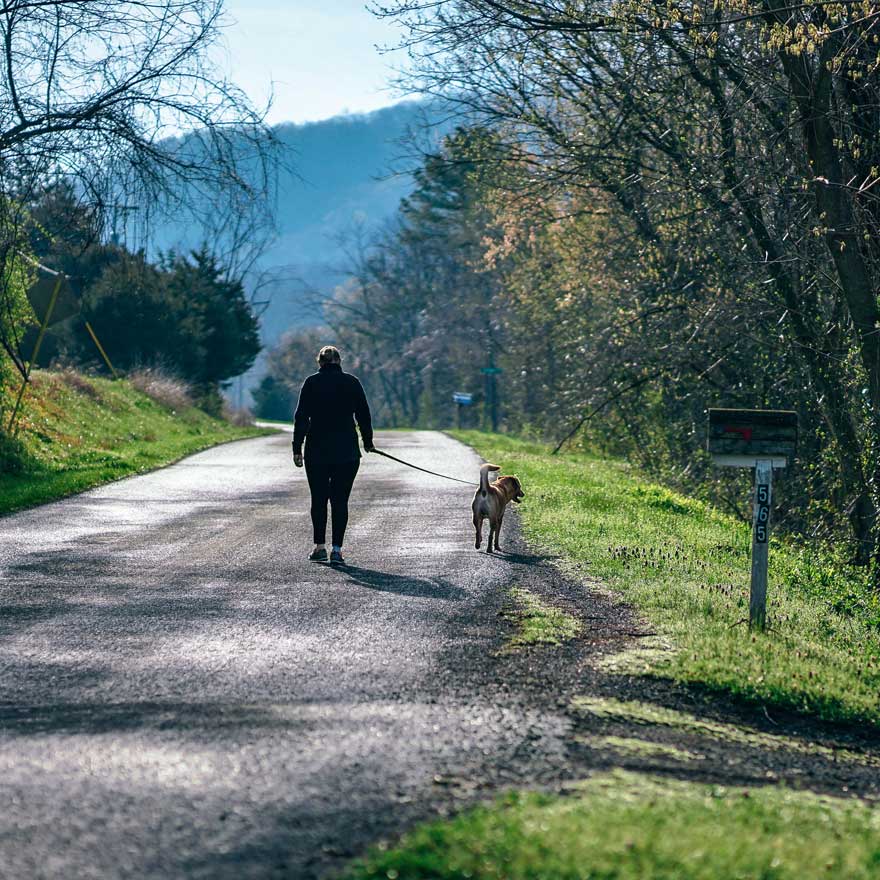 WNC K9 Dog Training