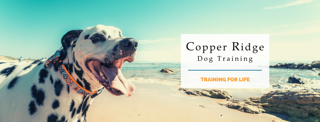Copper Ridge Dog Training