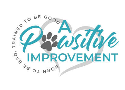 A Pawsitive Improvement