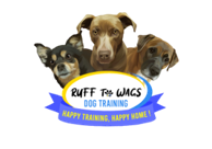 Ruff to Wags Dog Training