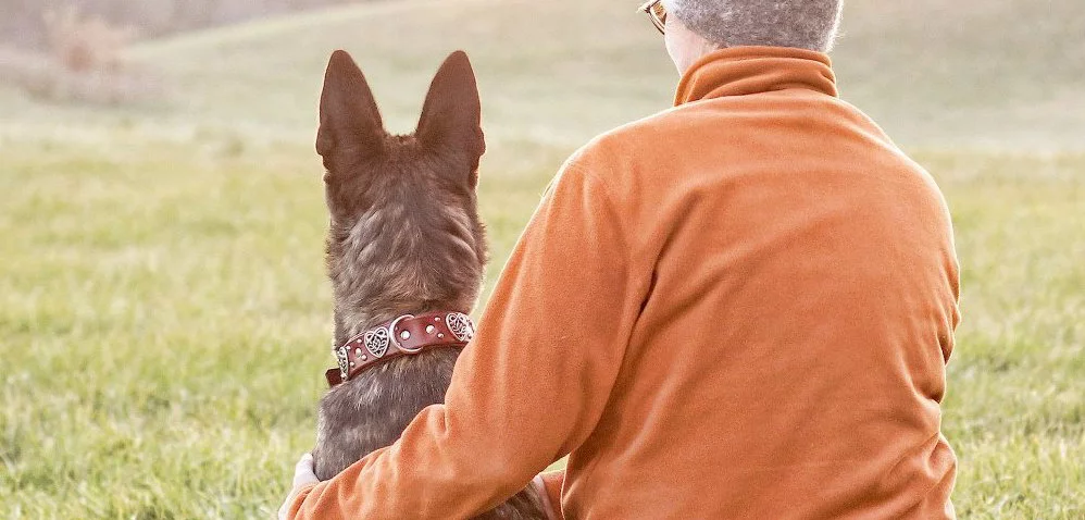 Janet Smith Dog Training — dog trainer in Lansing, MI