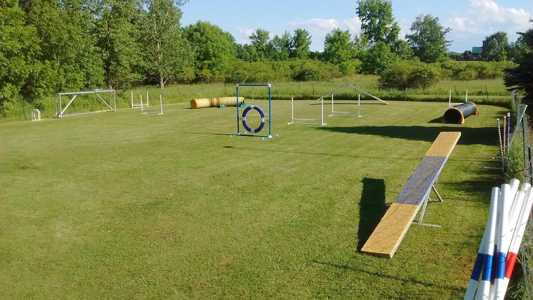 Agility Dream Dogs