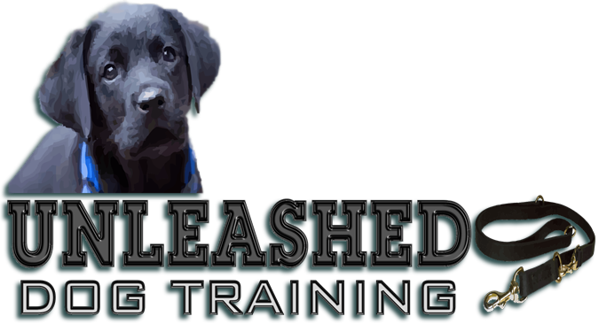 Unleashed Dog Training