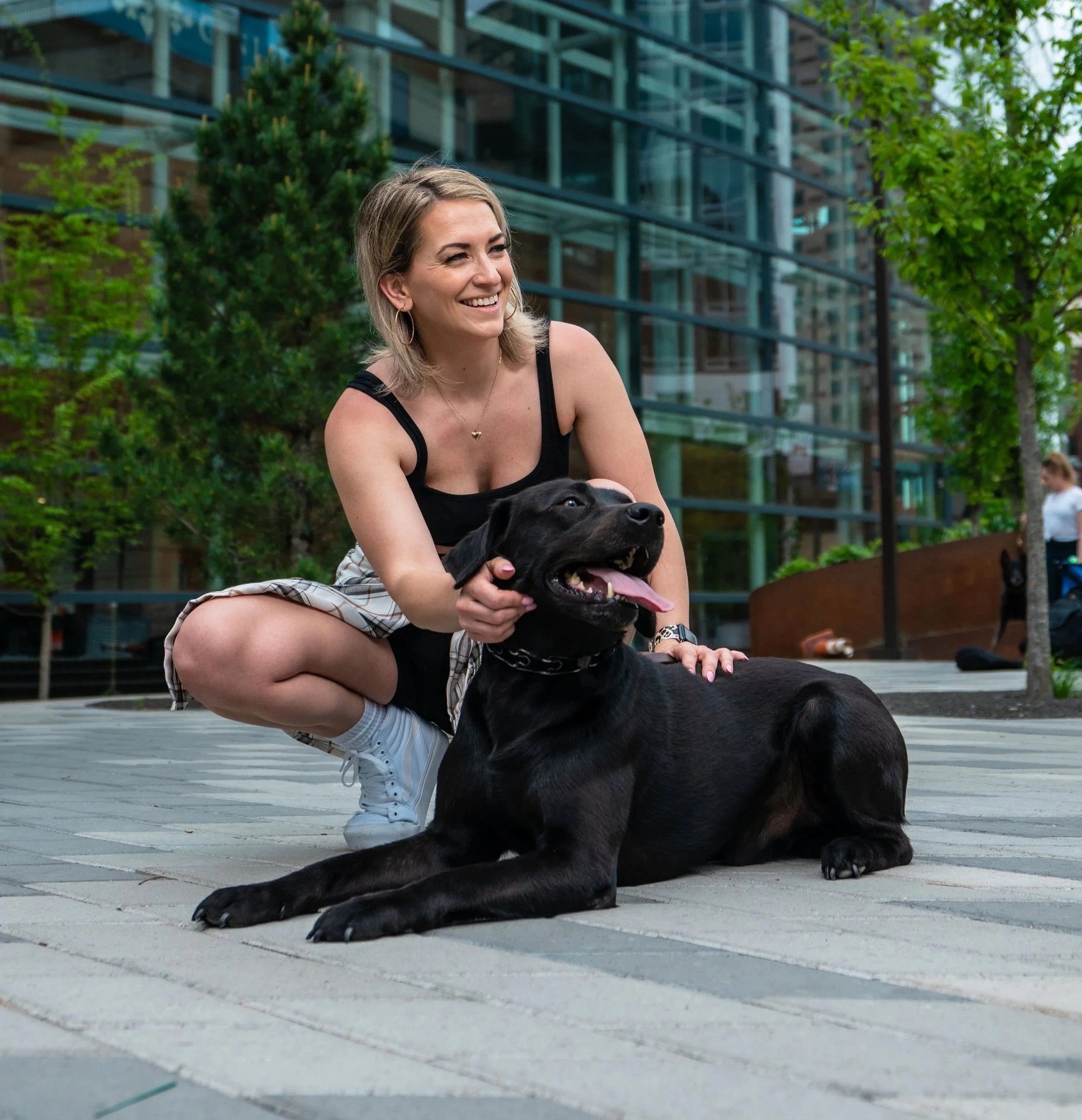 Grand Rapids K9 – Dog Training