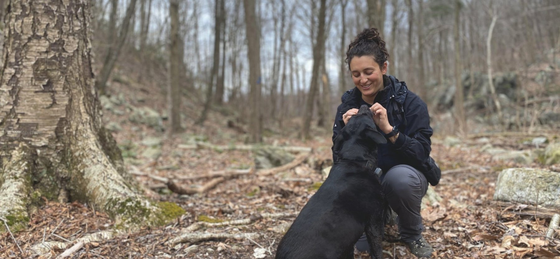 Zen Dog Training