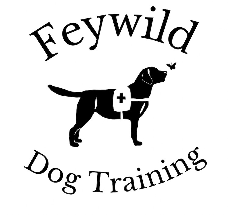 Feywild Dog Training