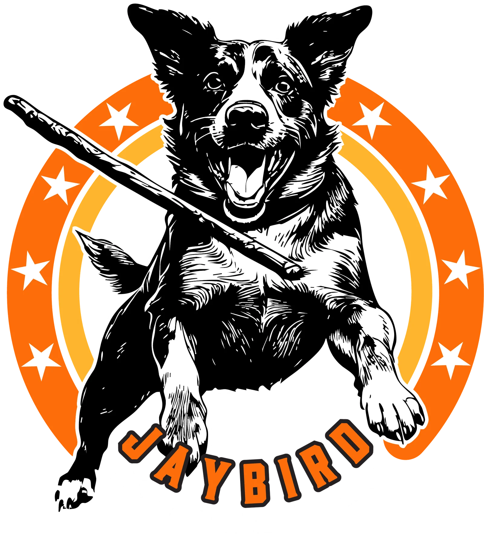 Jaybird Dog Training
