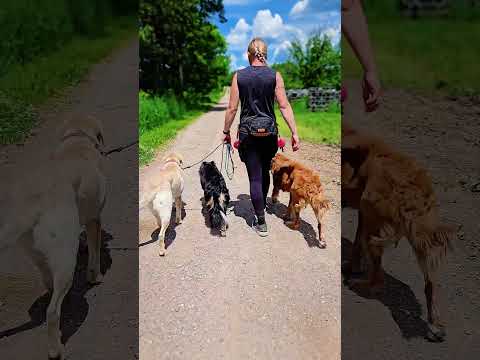 Liberty K9 Rescue Ranch