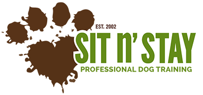 Sit n’ Stay Dog Training
