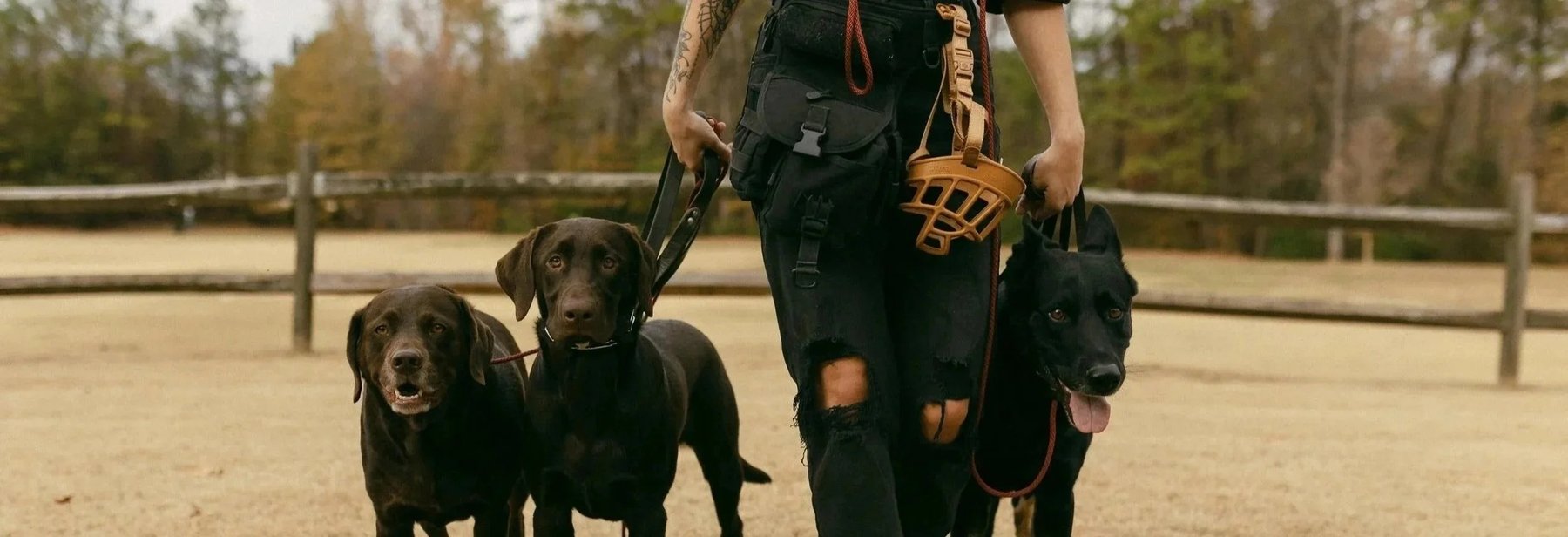Realigned K9