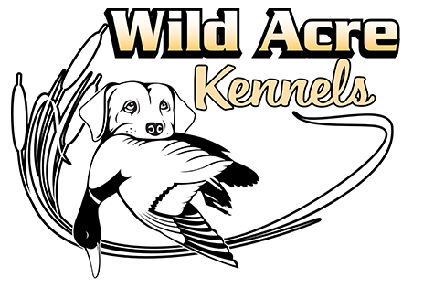 Wild Acre Kennels
